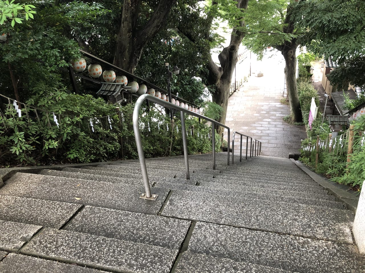 検見川神社の石階段上から下を覗いたところ