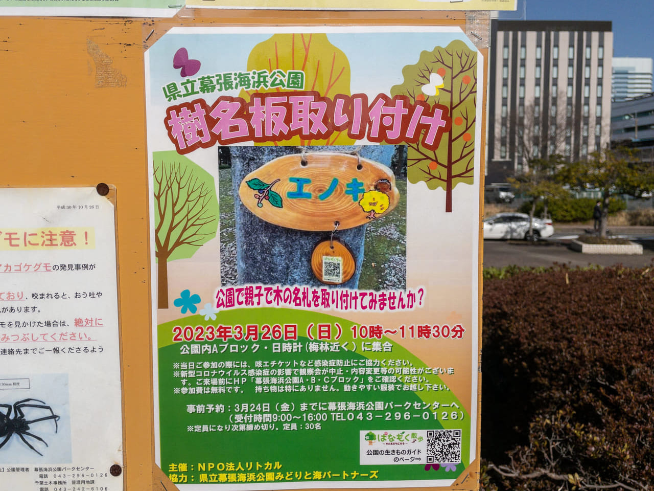 2023年3月県立幕張海浜公園3