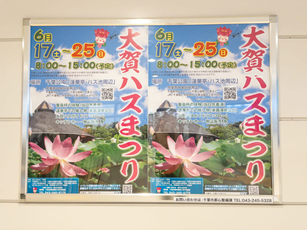 2023年6月大賀ハスまつり2