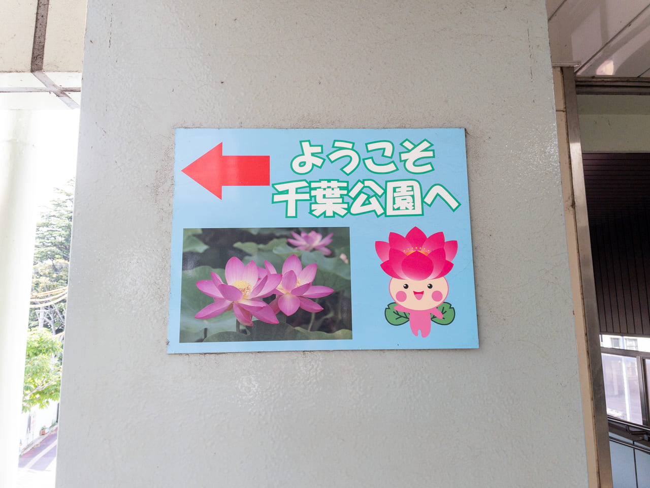 2023年6月大賀ハスまつり1