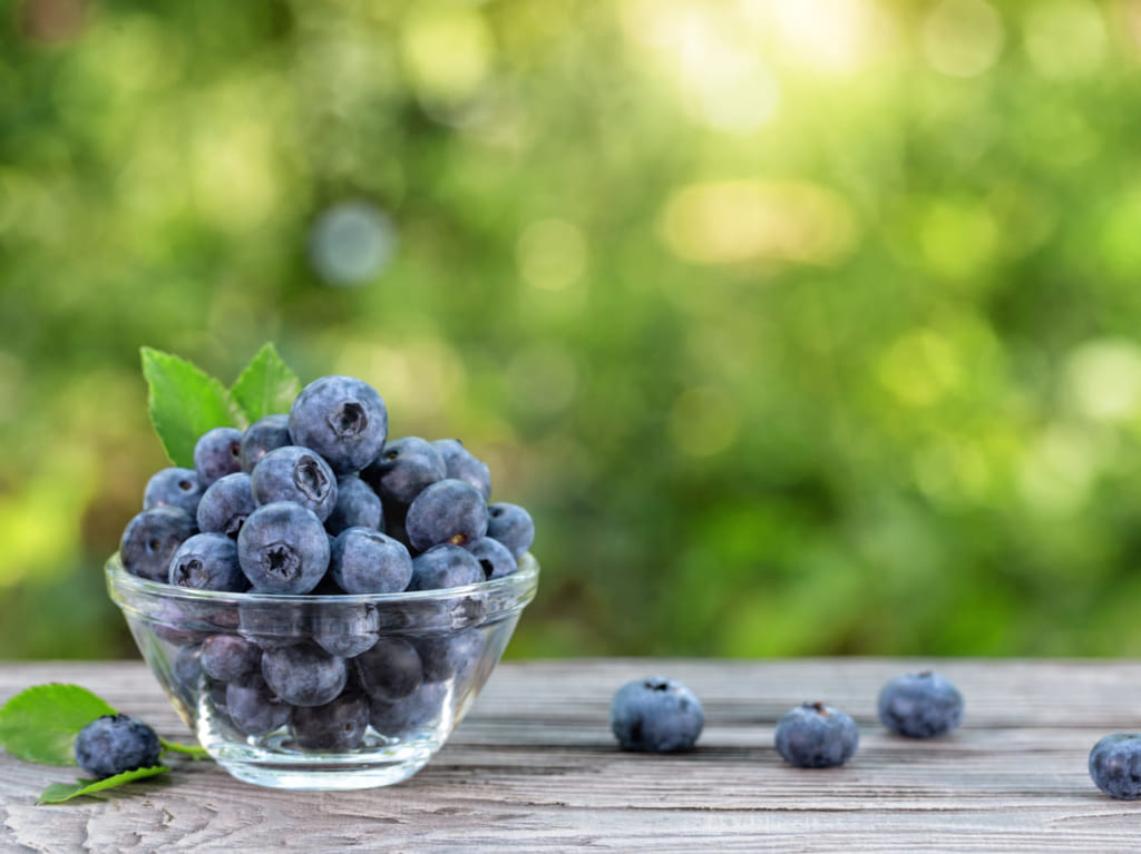 2023年8月千ブランド2