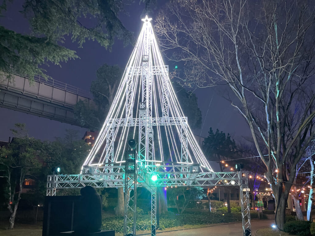 2023年12月中央公園イルミ3