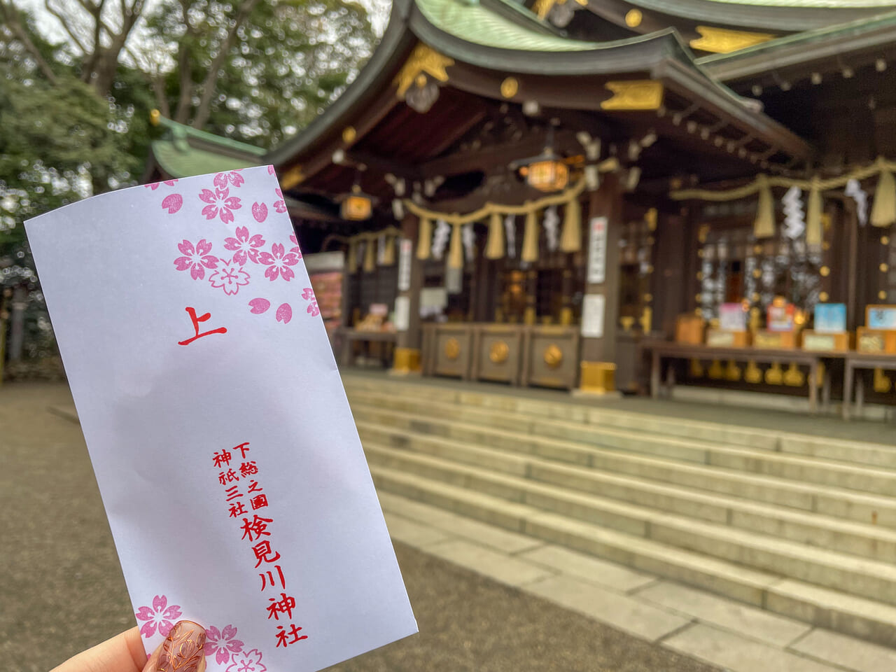 2024年4月検見川神社桜4