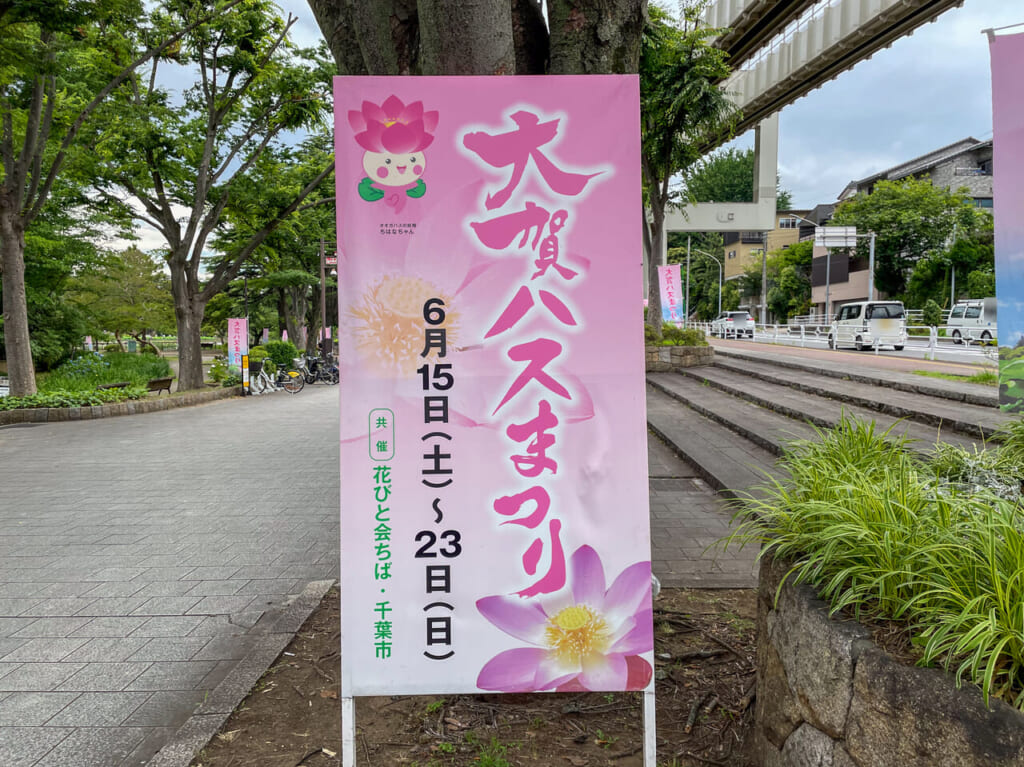 2024年6月大賀ハスまつり1