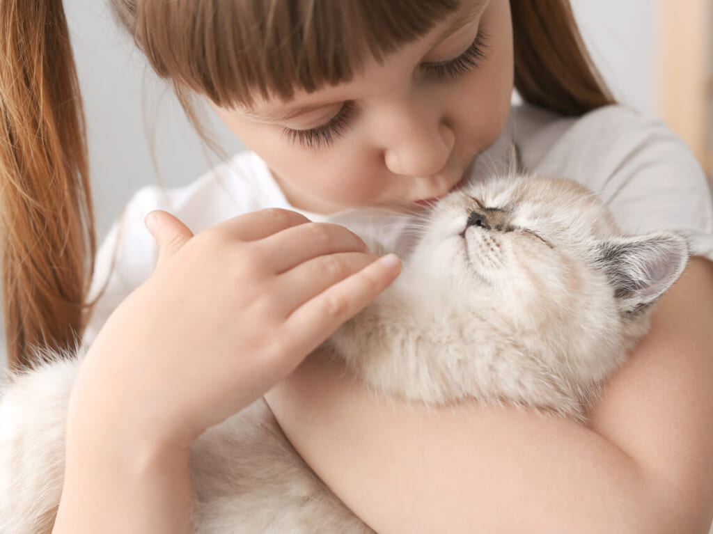 2024年8月動物愛護フェスティバル1