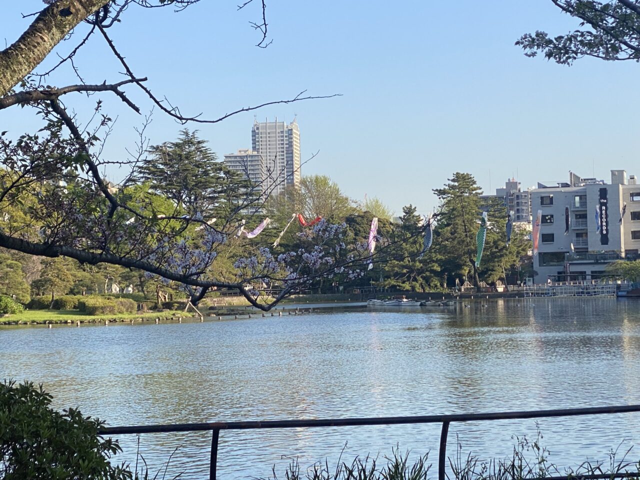 千葉公園池