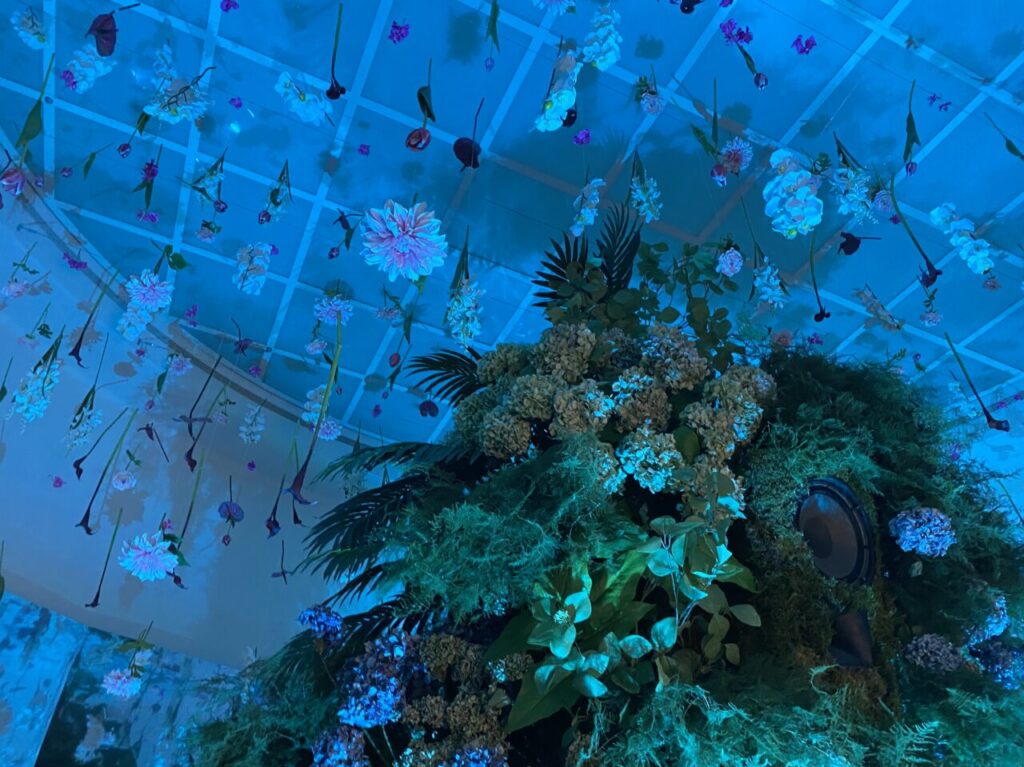 ボタニカミュージアム館内