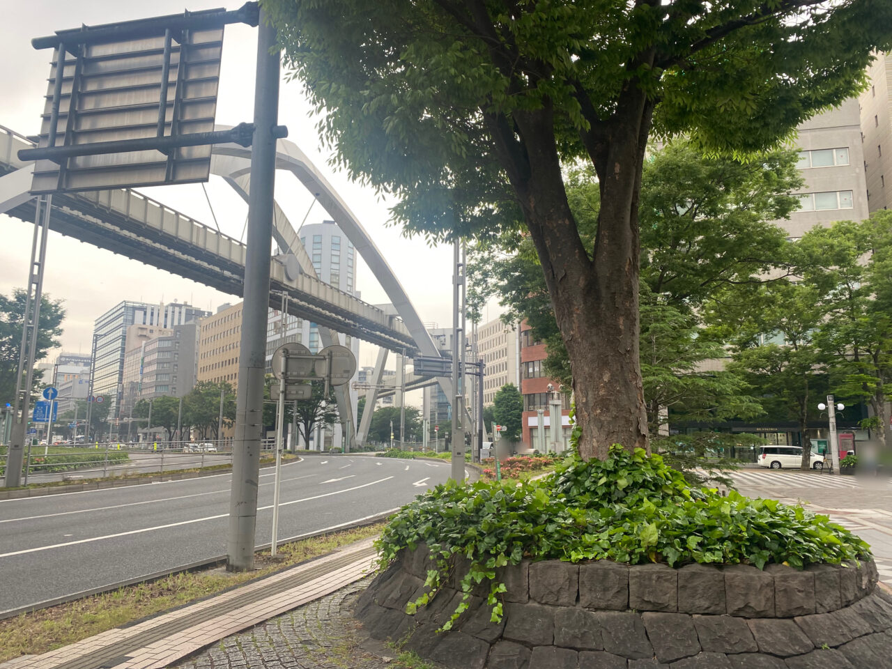 中央公園横道路