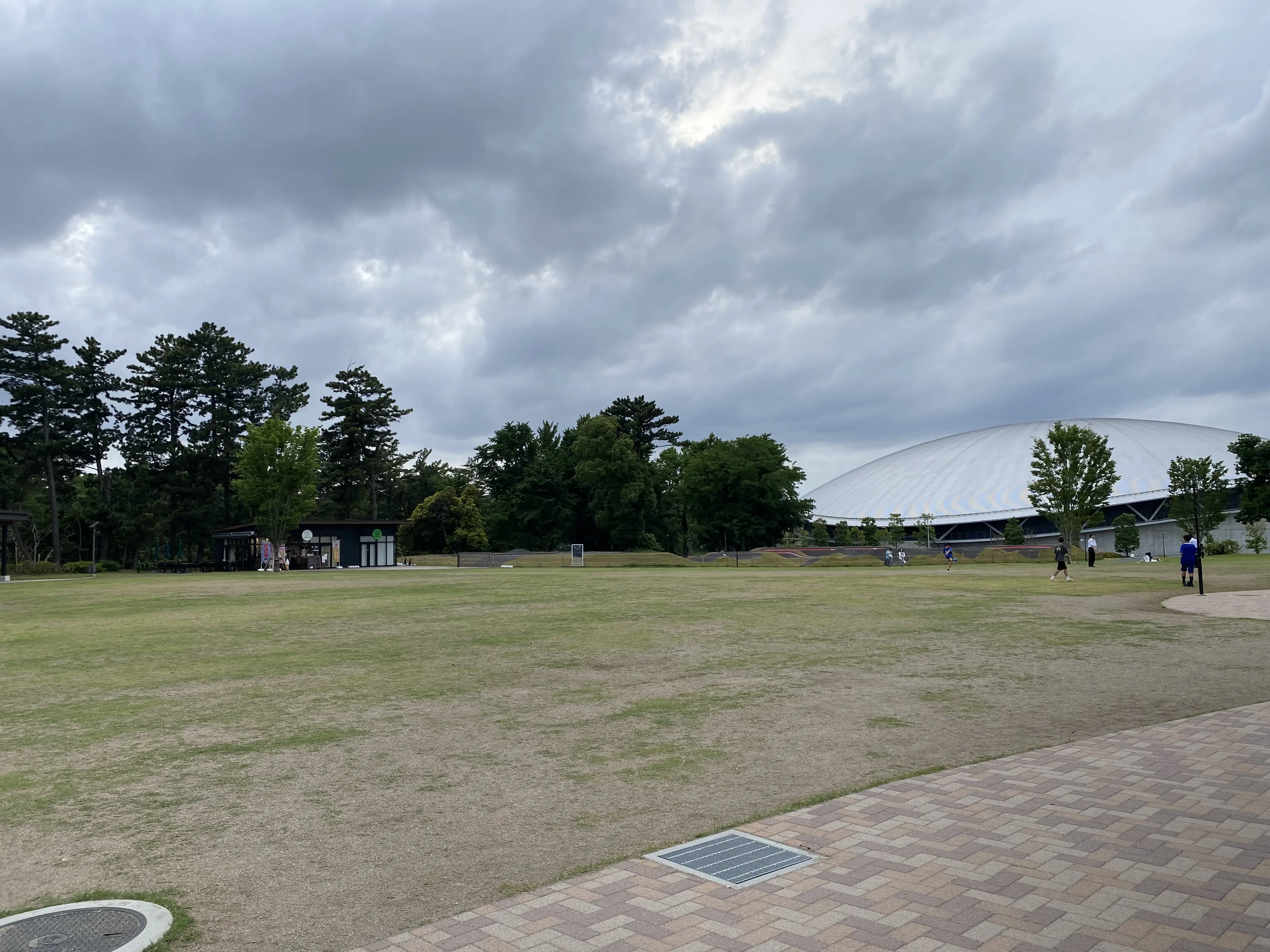 千葉公園芝庭