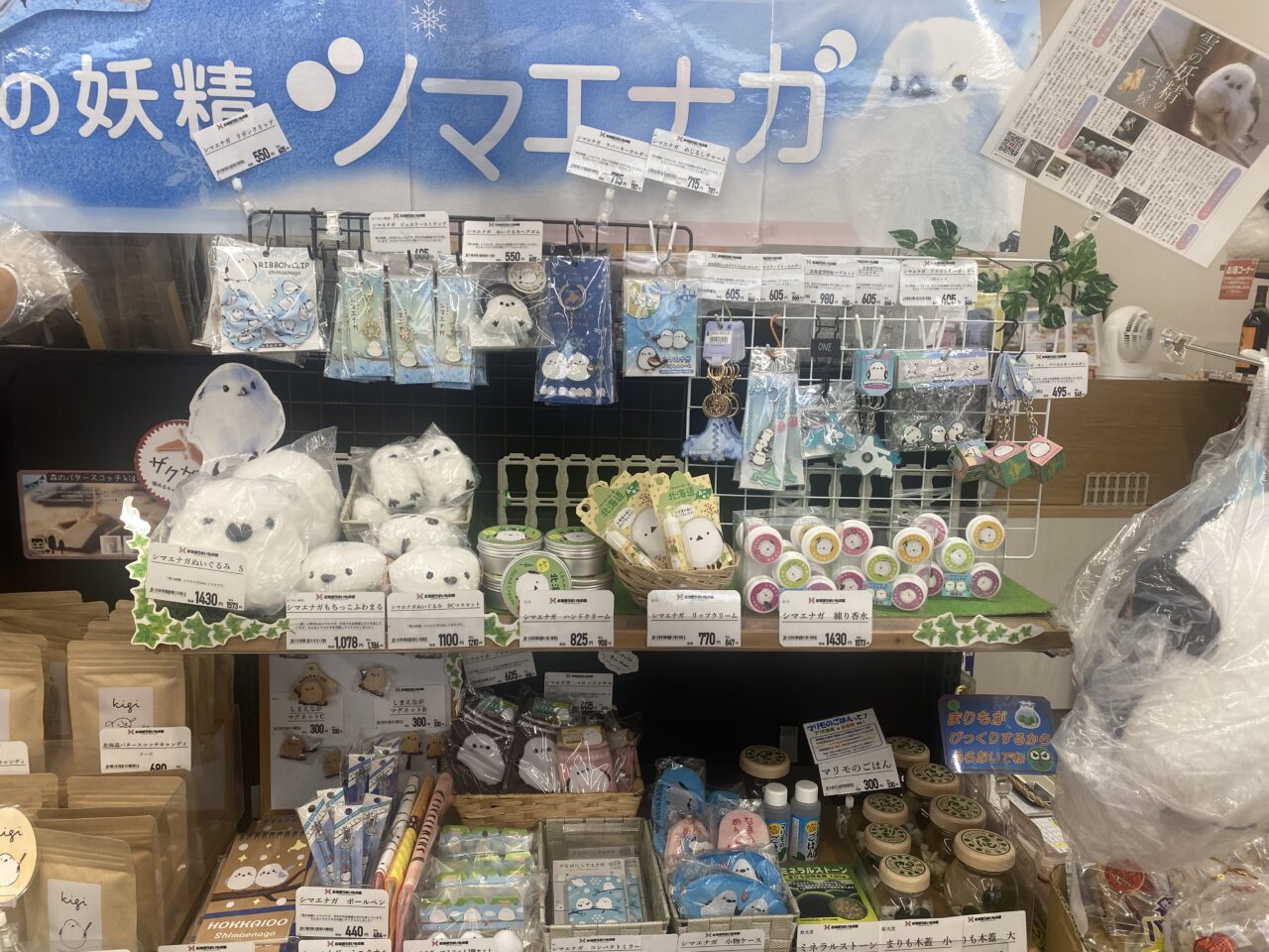 シマエナガコーナー