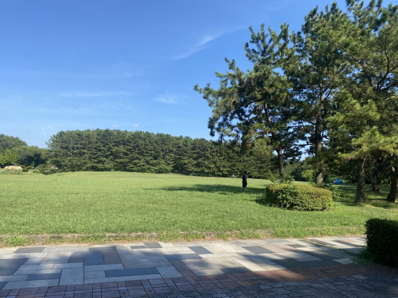 稲毛海浜公園