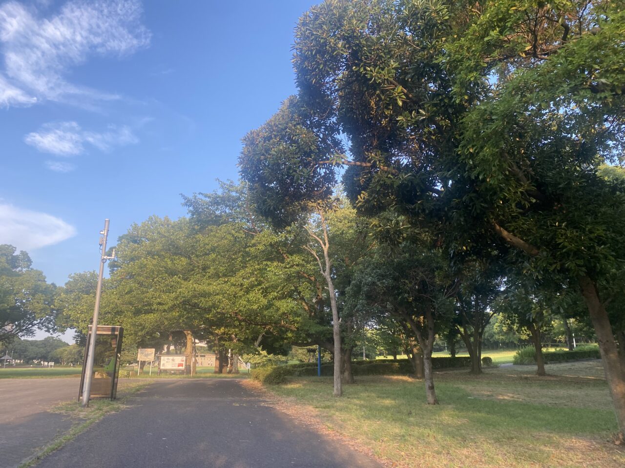 千葉ポートタワー公園
