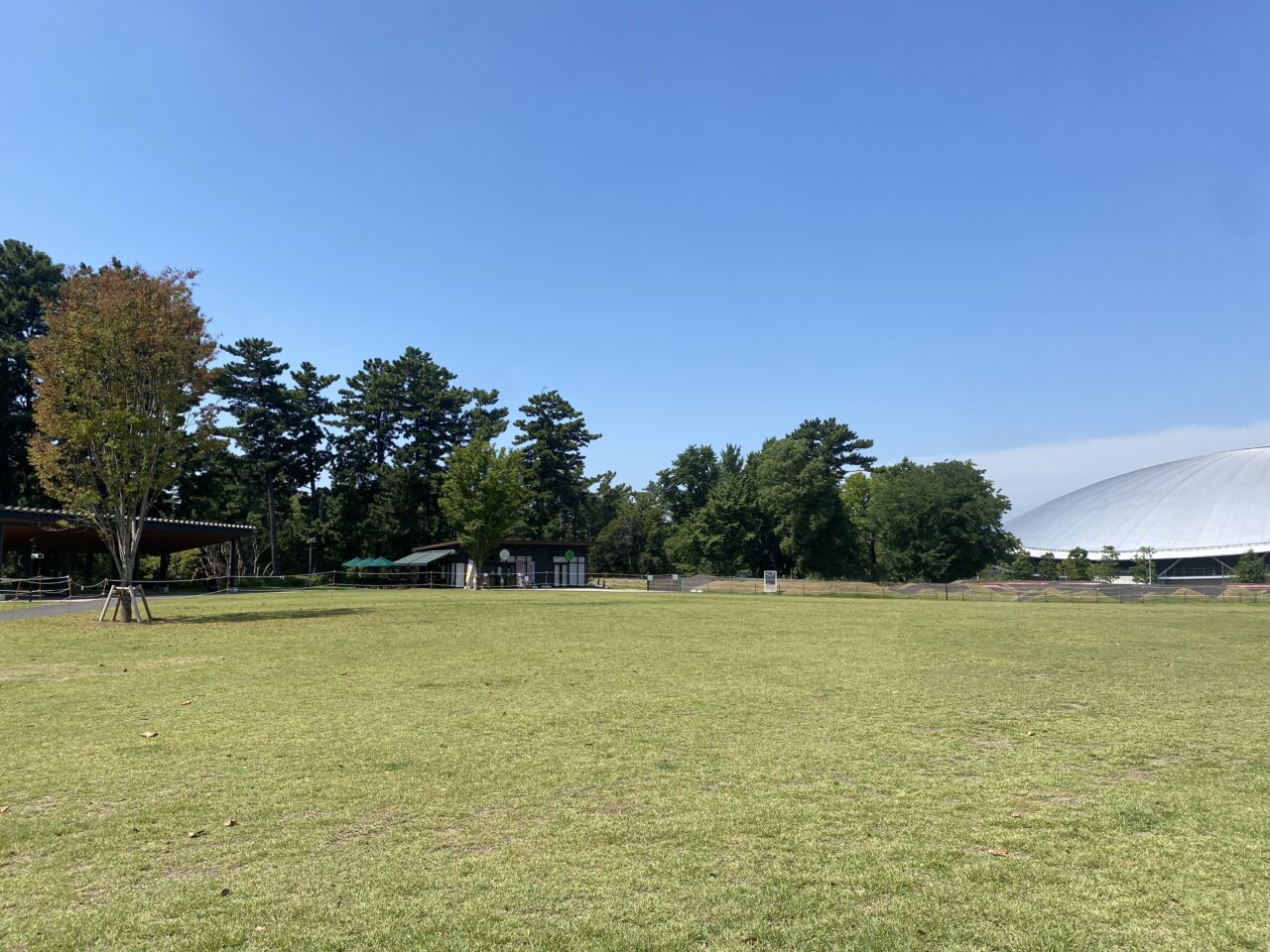 千葉公園芝庭
