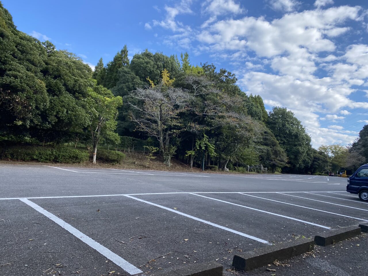 泉自然公園駐車場