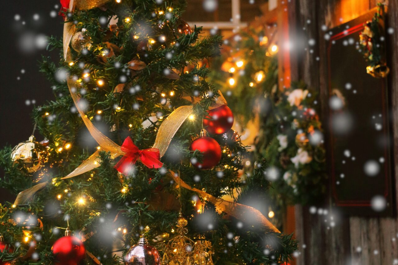 クリスマスツリー　イメージ