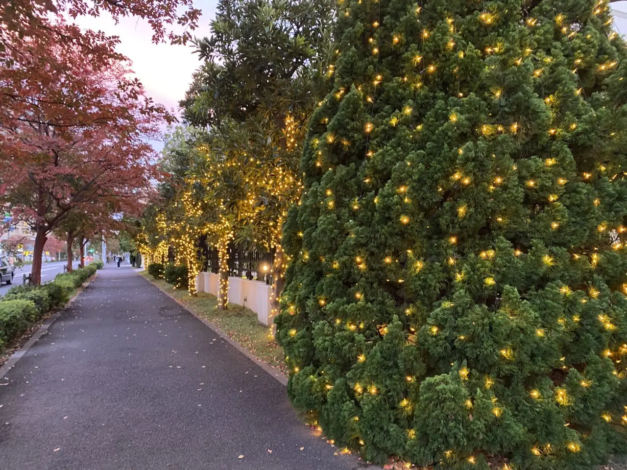 千葉みなと駅前通り