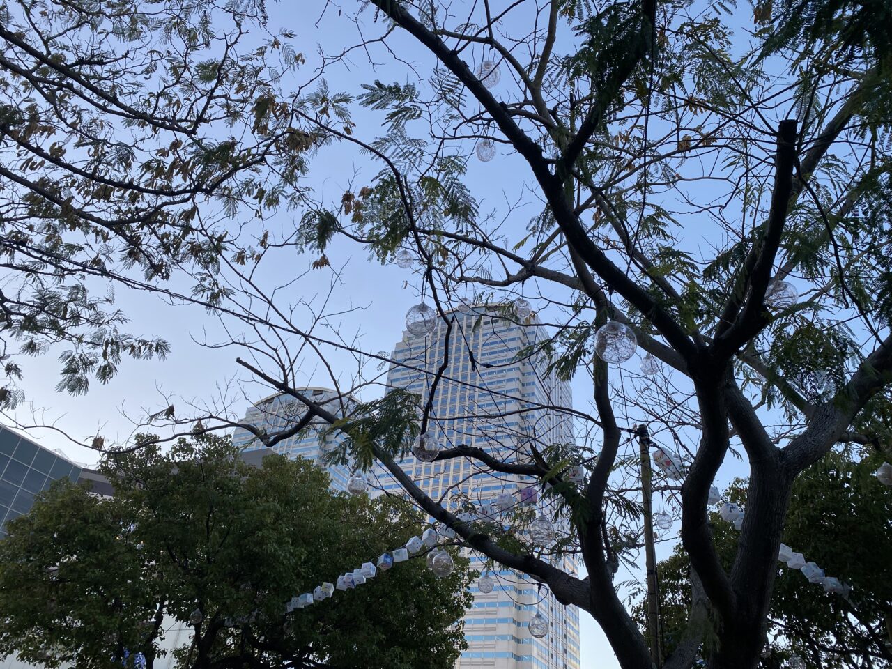 海浜幕張駅　イルミネーション