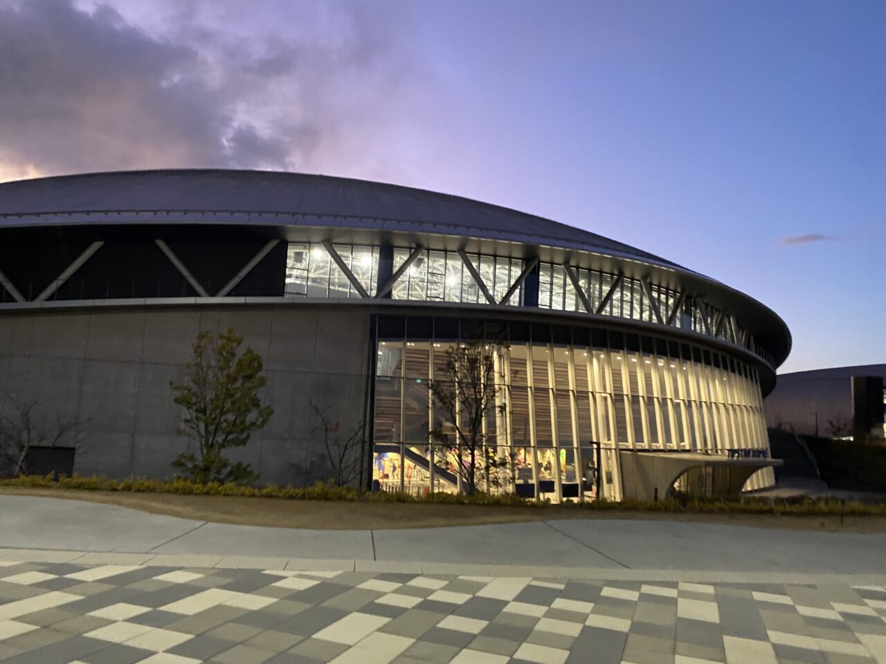 チップスタードーム前