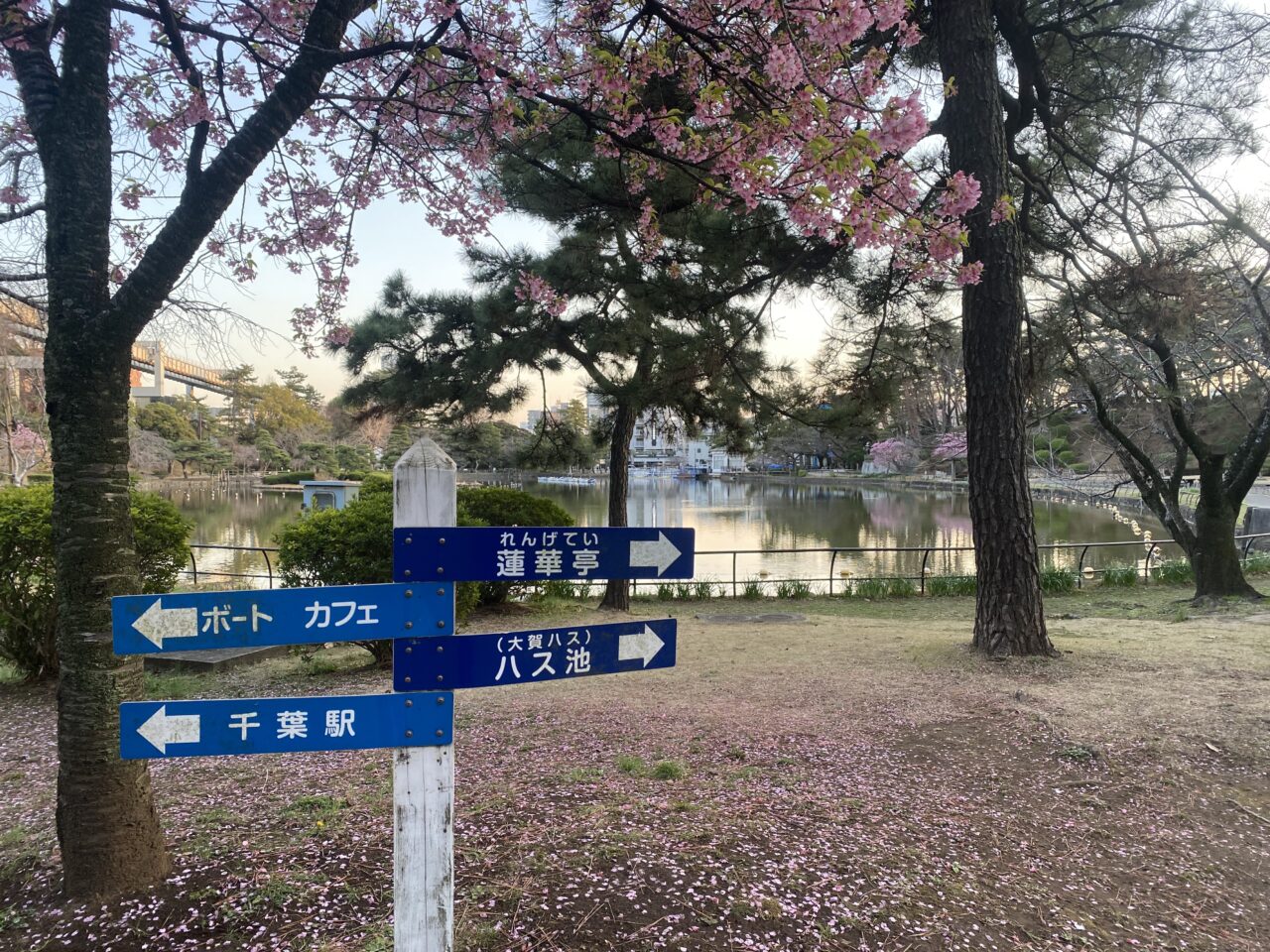 千葉公園