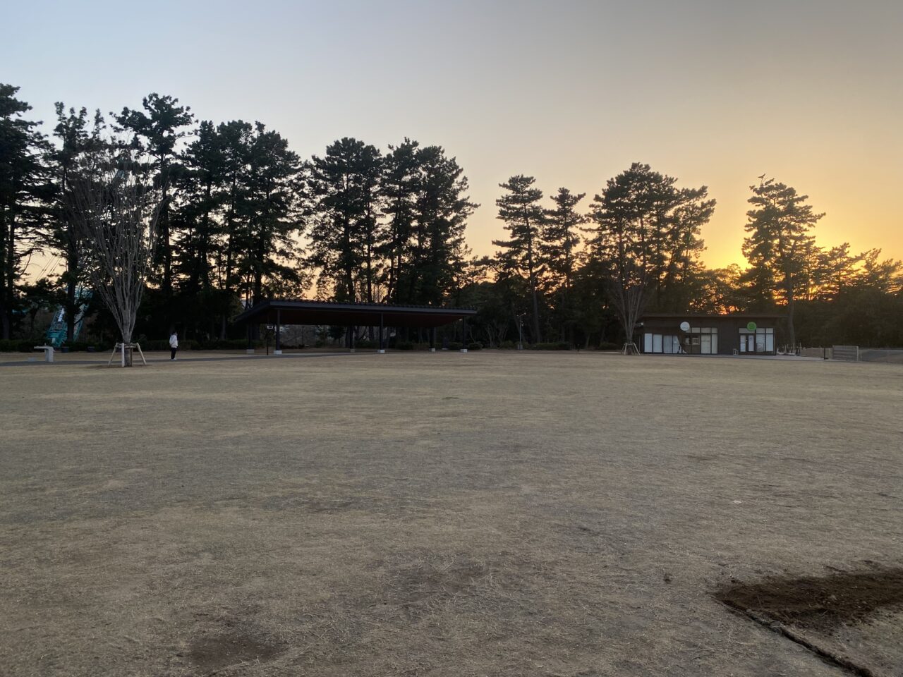 千葉公園　芝庭