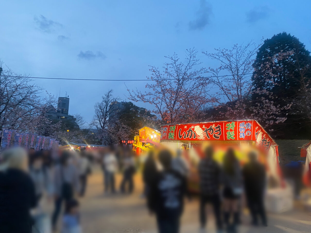 千葉城 桜まつり会場