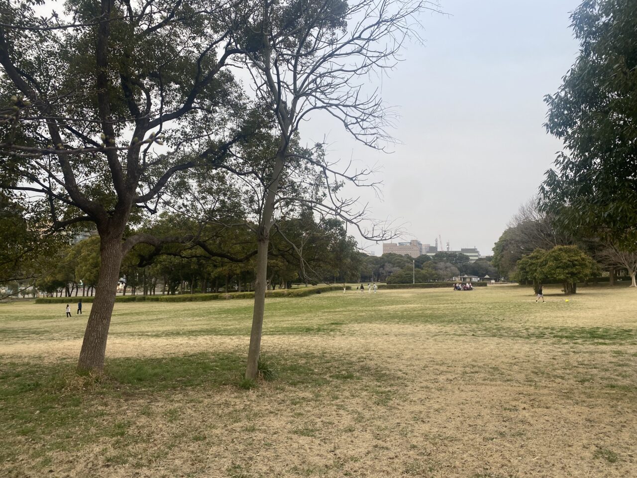 千葉ポートパーク