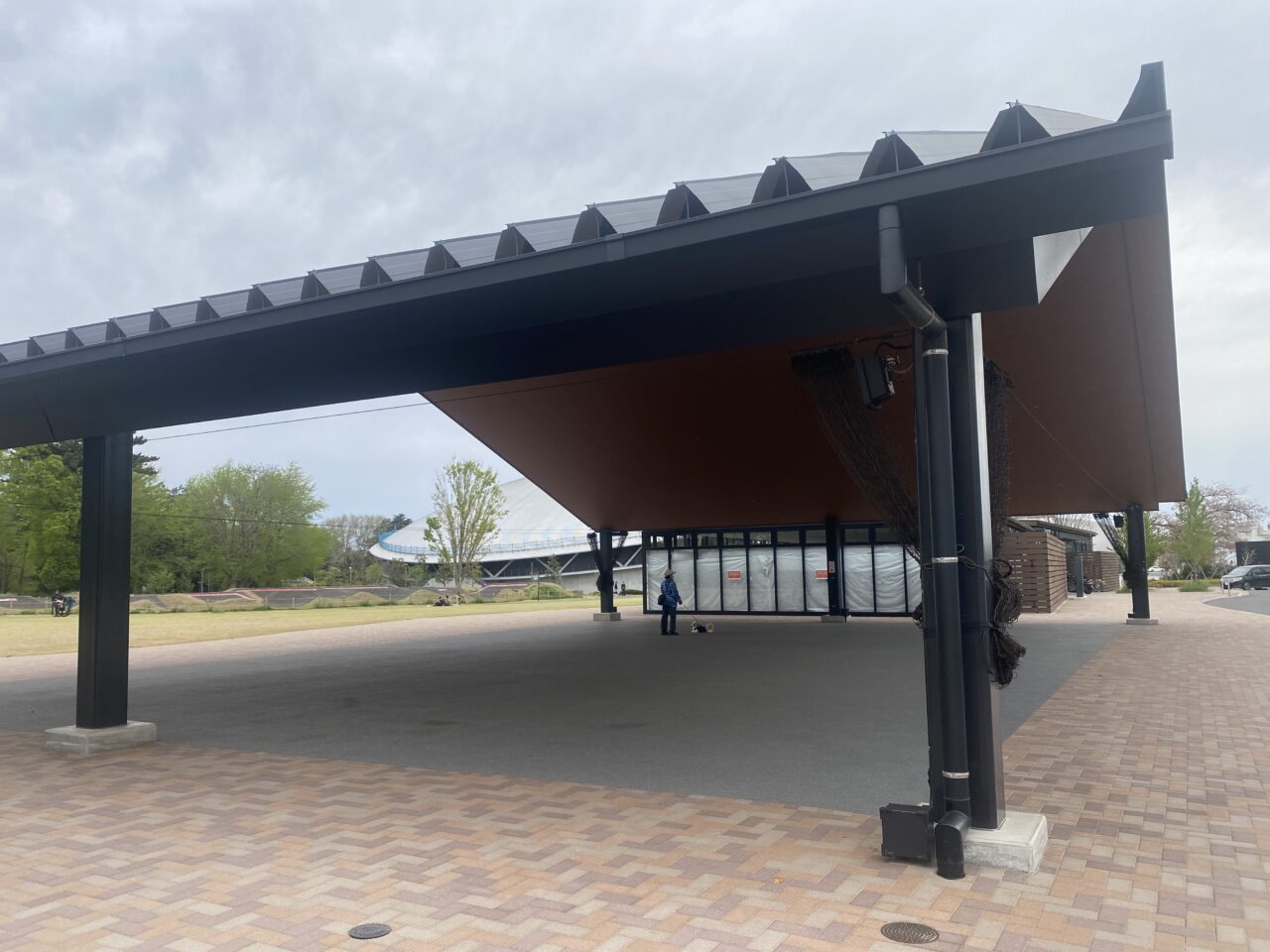 千葉公園　芝庭　おおやね