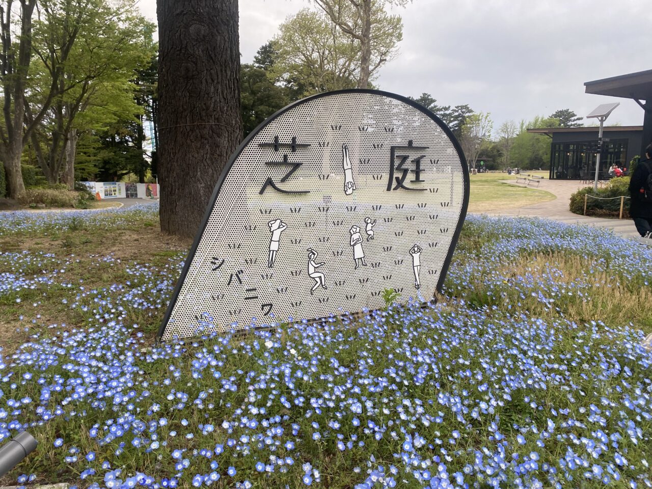 千葉公園　芝庭