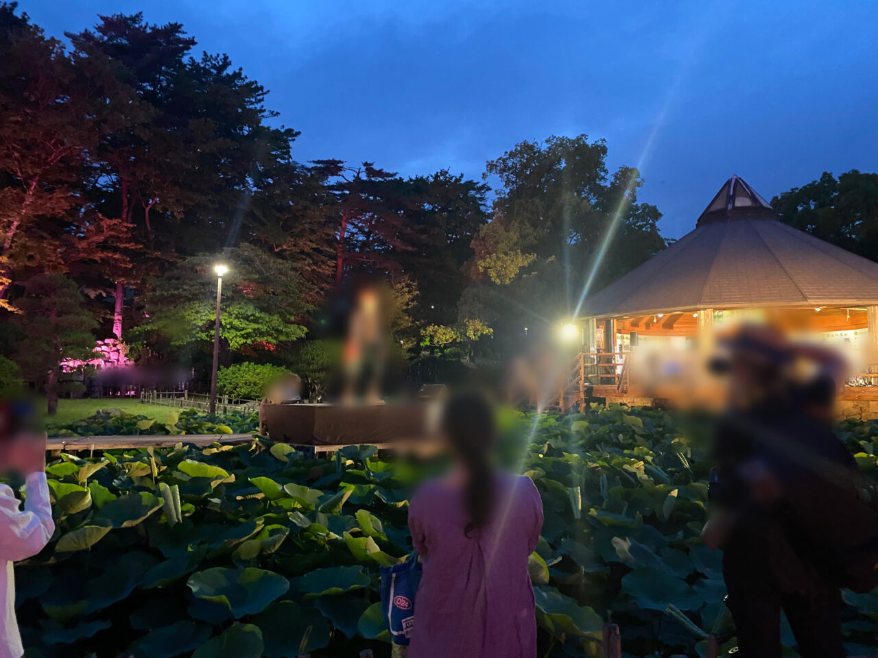 千葉公園　Yohas 