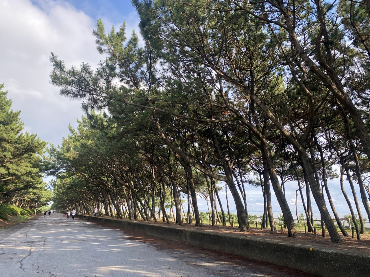 稲毛海浜公園