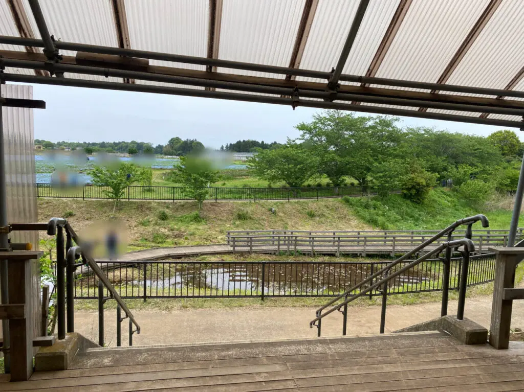 富田さとにわ耕園