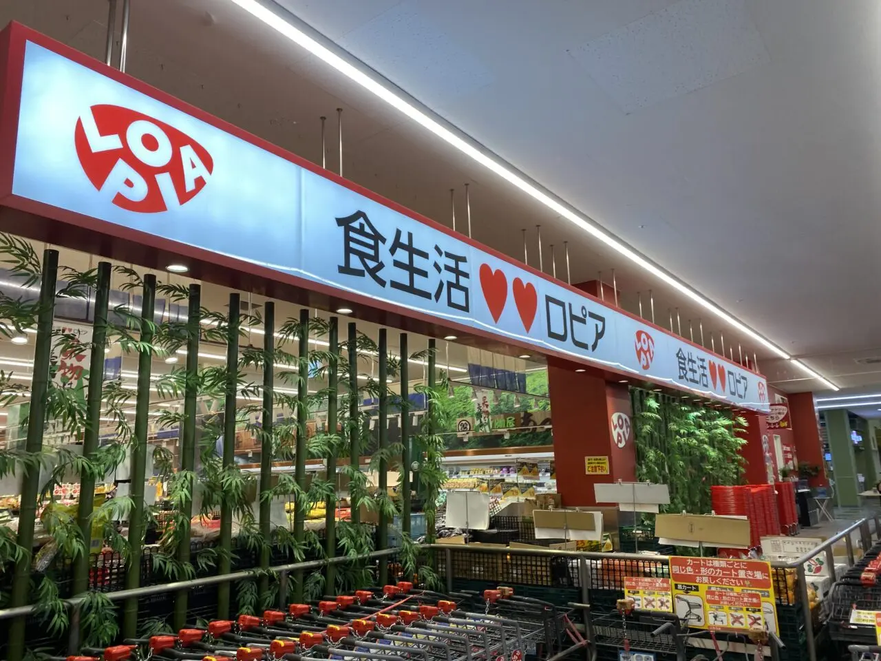 ロピア　島忠ホームズ蘇我